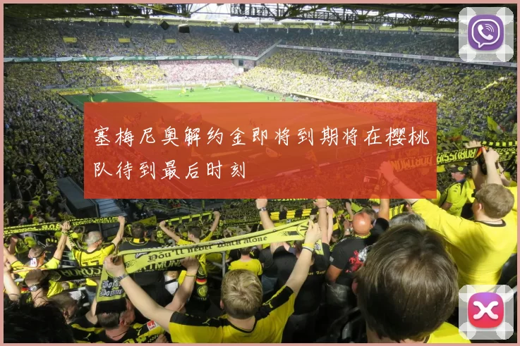 塞梅尼奥解约金即将到期将在樱桃队待到最后时刻